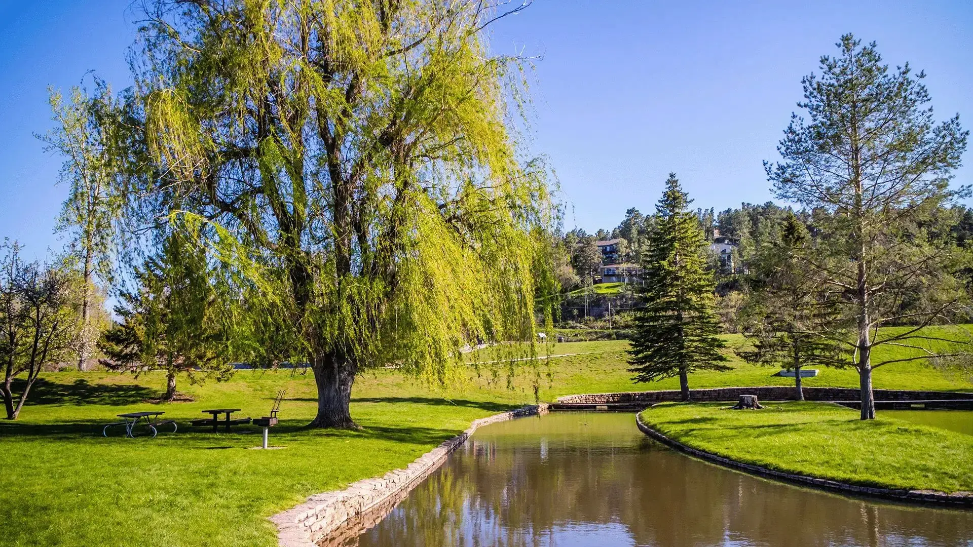 Retention Ponds - Zamora Tree Service